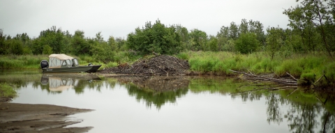 boat by a beaver dam