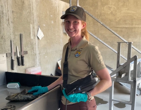 A U.S. Fish and Wildlife Service Veterinarian 