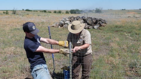 volunteer helping staff with maintenance work