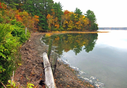 The shore of a smooth body of water with trees' whose leaves are orange, yellow and green