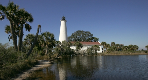 A white lighthouse surrounded by palm trees in a spit of land near water