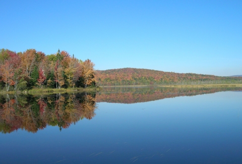 A silky smooth blue lake with its forested shore reflected in the water