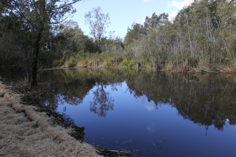 Photo of Aldergrove Marsh