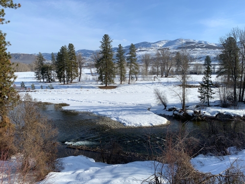 View over a river valley with pines and snow, low mountains in background.