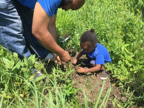 child and adult work in a plot of land