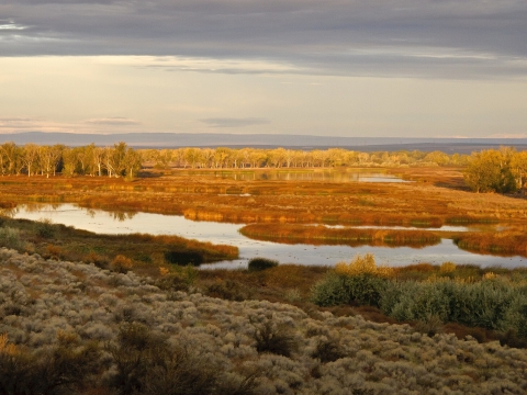 Overlooking a wetland surrounded by brown and tan grassland and shrubland