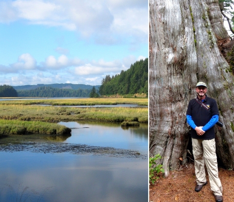 Two-photo collage: A bay and wetland with mountains in the background