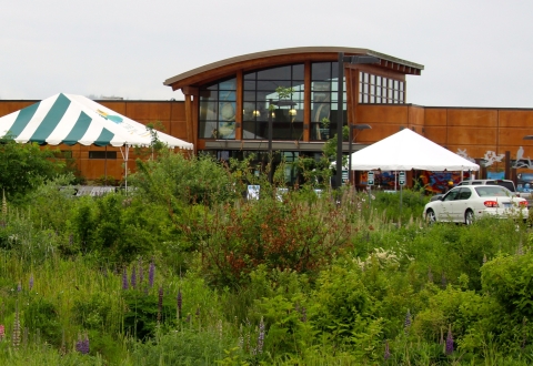 Modern-looking brown building with a curved atrium with vegetation in the foreground