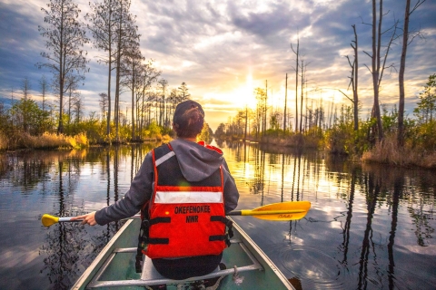 Woman canoeing with trees and shrubs on the side