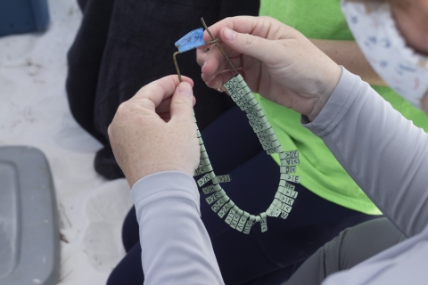 a metal loop with several uniquely coded green plastic flags is held with two hands