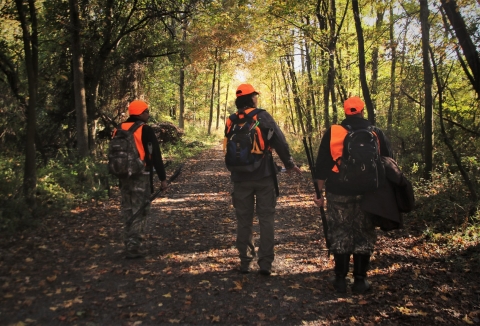 Three people in orange hunting attire walking on a trail in a shaded forest.