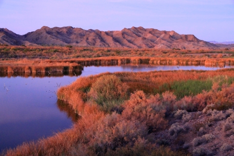 Scenic view of the lower Colorado River with mountains in the background.