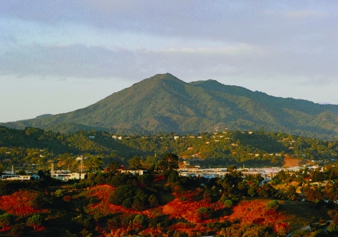 Picture of Mount Tamalpais (photo credit: Marin Convention & Visitors Bureau)
