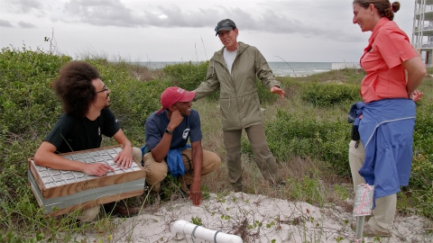 4 people on grassy beach, one with box trap