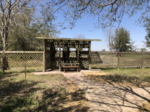 Picture of The Marchetti Bird Blind