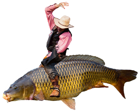 Photoshopped image of a man riding a carp