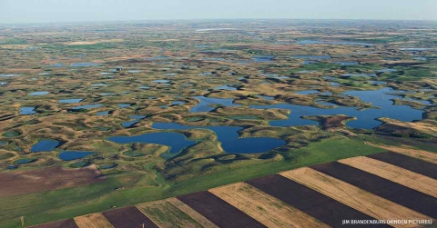 North Dakota Prairie Pothole Region