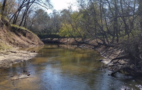 river and woods at San Bernard National Wildlife Refuge