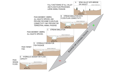 a graphic showing stream cross sections offering a spectrum of different options that offer a range of connectivity from low to high 