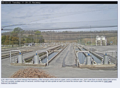 Raceways at Wolf Creek National Fish Hatchery