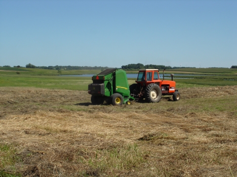 An old, red, closed-cab tractor pulls a green round-baler on a waterfowl production area.