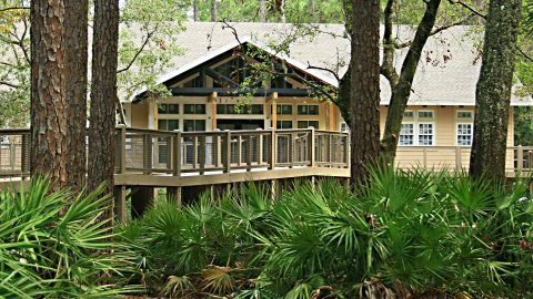 Looking through the pine trees at the Environmental Education Building at the St. Marks NWR