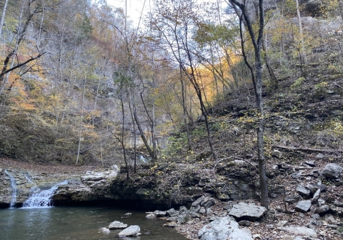 Gentle stream flowing from the headwaters of a river in autumn forest. Rocks and fallen foliage on the shore.