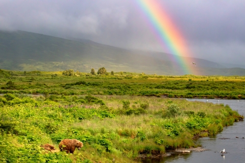 A portion of a rainbow over a field of lush green vegetation at the mouth of a river