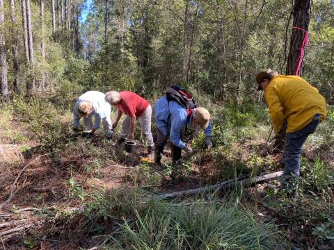 Four people working with plants