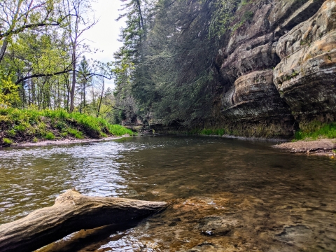 Karst bluff next to stream