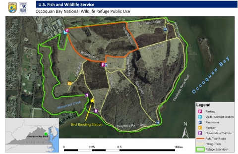 Map of Occoquan Bay indicating bird banding station.