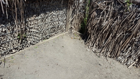 photo shows inside of hunt blind. tule bundles on sides of blind. photo mostly shows floor