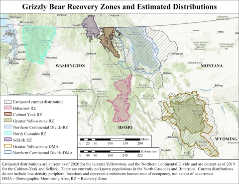 Map of Washington, Idaho, Montana, and Wyoming showing estimated distributions of grizzly bear populations and their recovery zones.