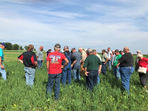 Group of people stand in farm field