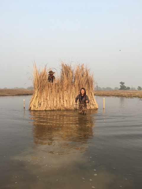 person pulling xfowler blind in water, another person inside the blind. blind covered in tule bundles