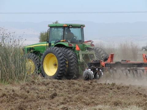 Refuge staff disking jointgrass in a wetland