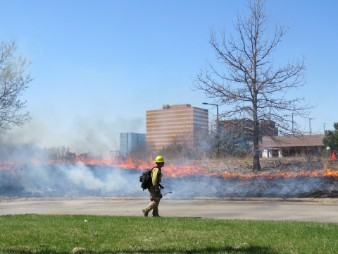 Wildland firefighter walks along a prairie burn that is lightly burning and smoking behind them