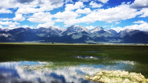 Wet meadows on Baca National Wildlife Refuge