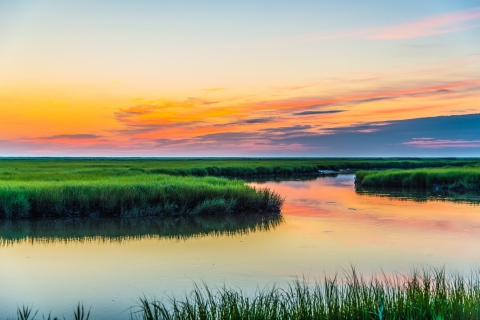 river flowing through green field under clear sky with orange in it