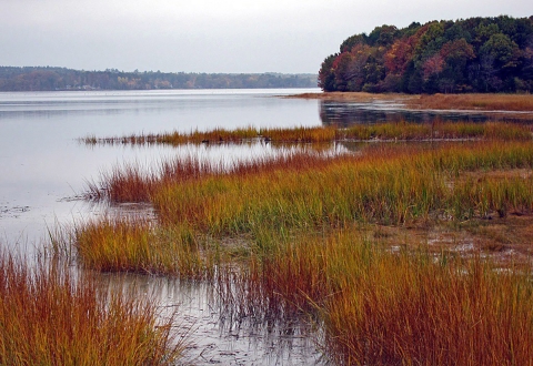 Wetland surrounded by fall vegetation.