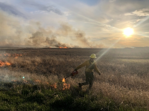 Wildland firefighter applies fire to prairie with a distant burn behind them with sun shining