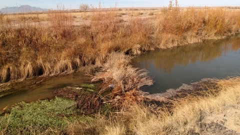 Image representing the middle rio grande