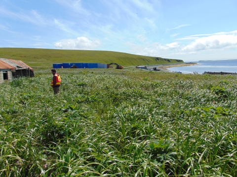 A man stands in a grassy field near an abandoned structure, with storage containers and an excavator in the distance.