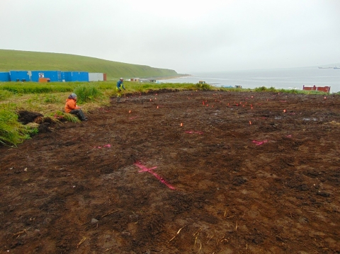 A field stripped of vegetation, with flagging and spraychalk marking spots of interest.