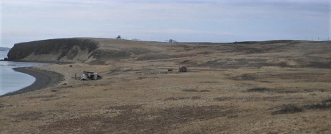 A bleak photo of a treeless island with collapsing old buildings and fallen radio towers.