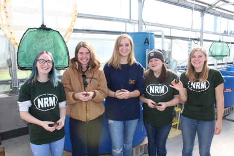 5 high school seniors stand in a row in a turtle lab. They are each holding a turtle hatchling, and smiling. 