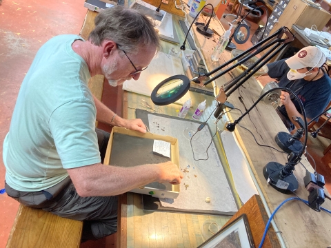 Two biologists sit on opposite sides of a long table examining and mounting insects