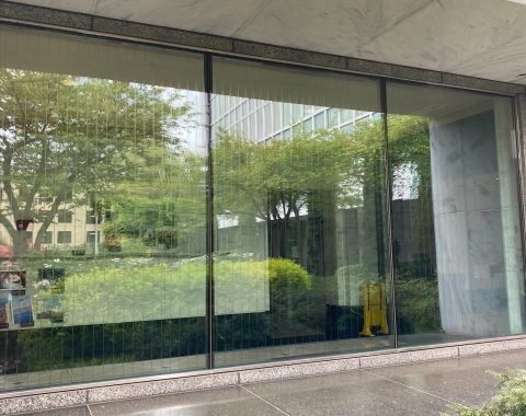 The barely-visible vertical lines on the windows prevent bird collisions. Hawthorn trees can be seen in the reflectio