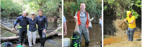 Montage of Carolina Heelsplitter Intra-Service Recovery Initiative team members.