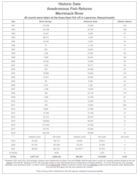 Merrimack River Fish Returns